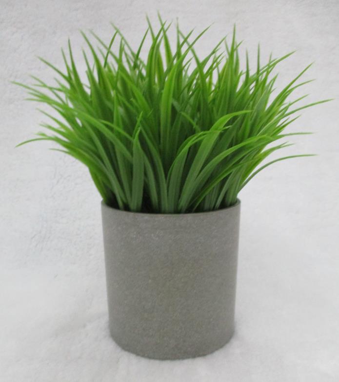 S067#round Potted Plants