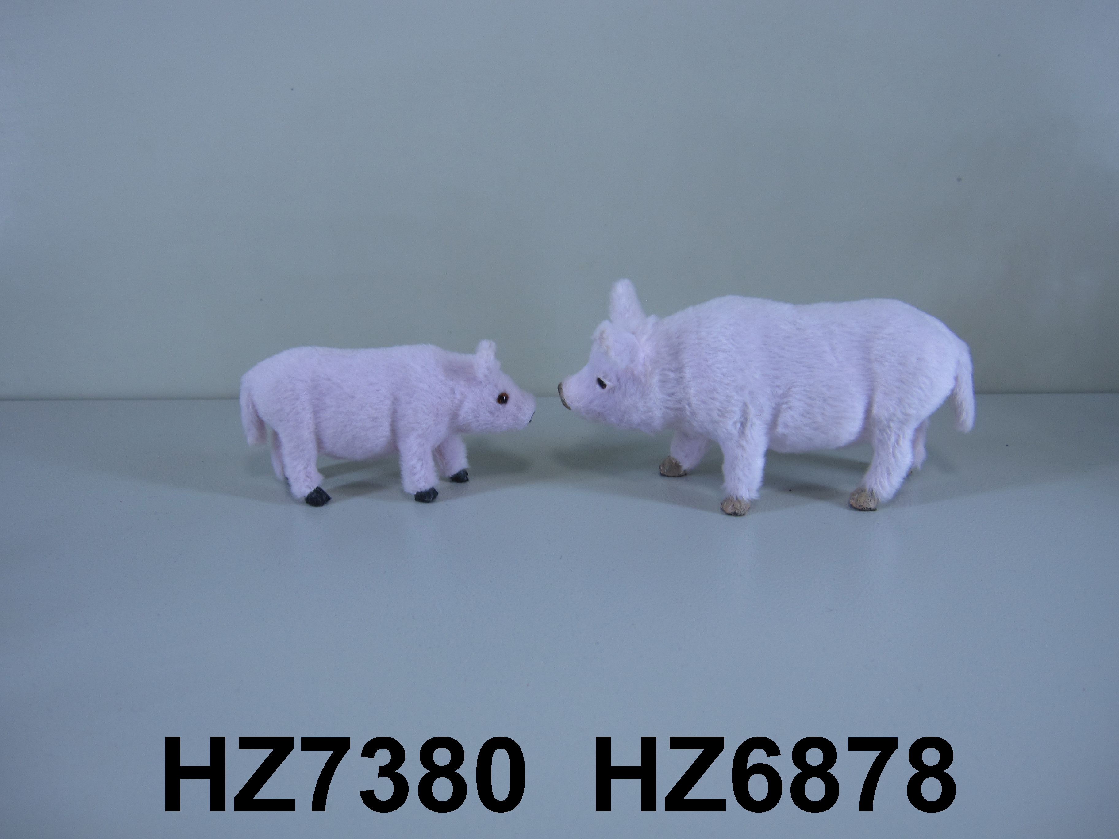 PIG