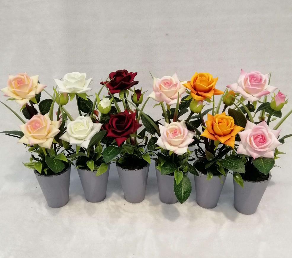 26#potted Rose