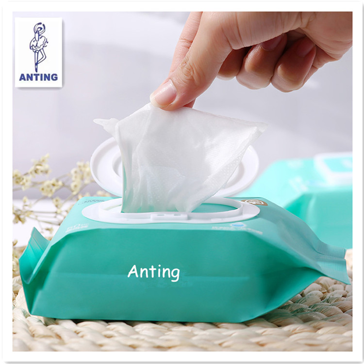 High Quality Competitive Baby Wet Wipe With Aloe Vera Manufacturer from China