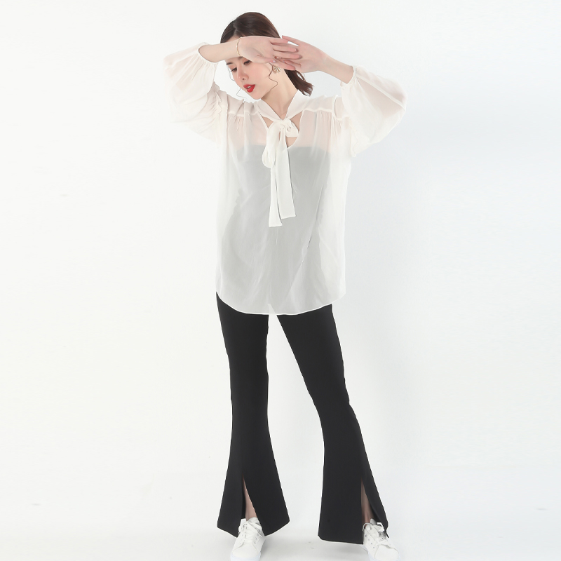 Ladies blouse