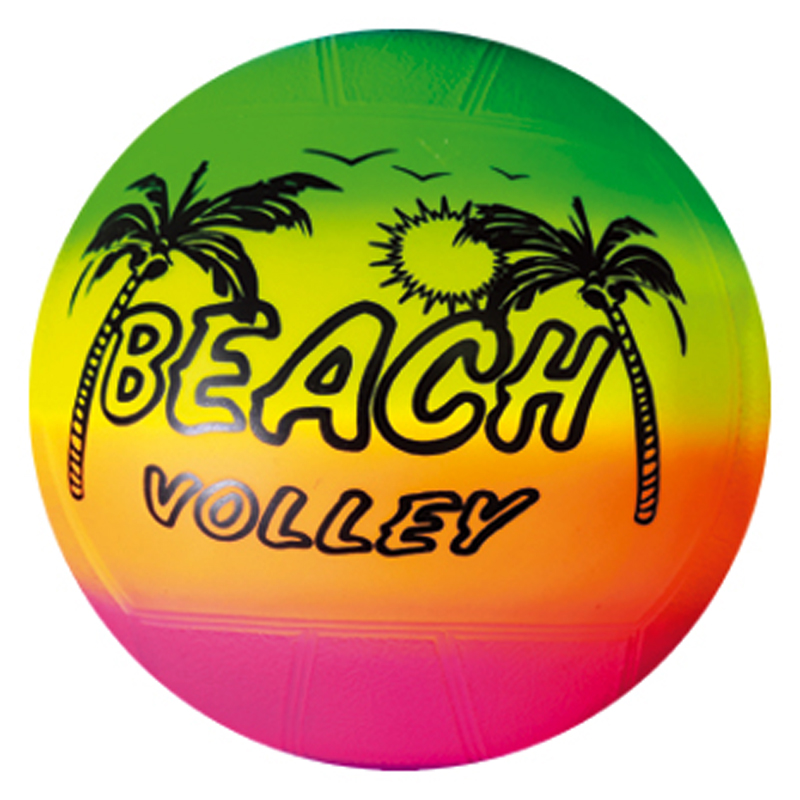 Different Vinyl Sports Ball