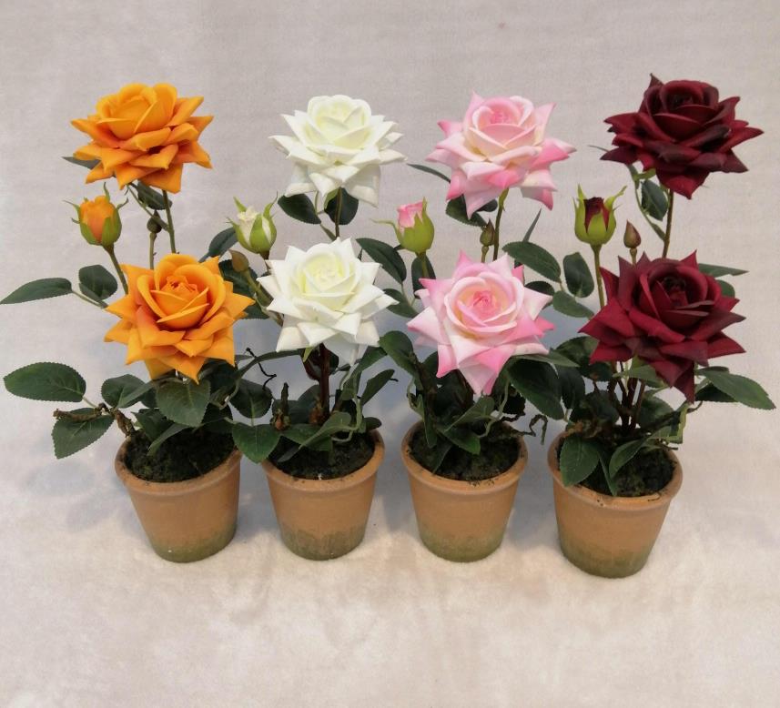 027#potted Rose