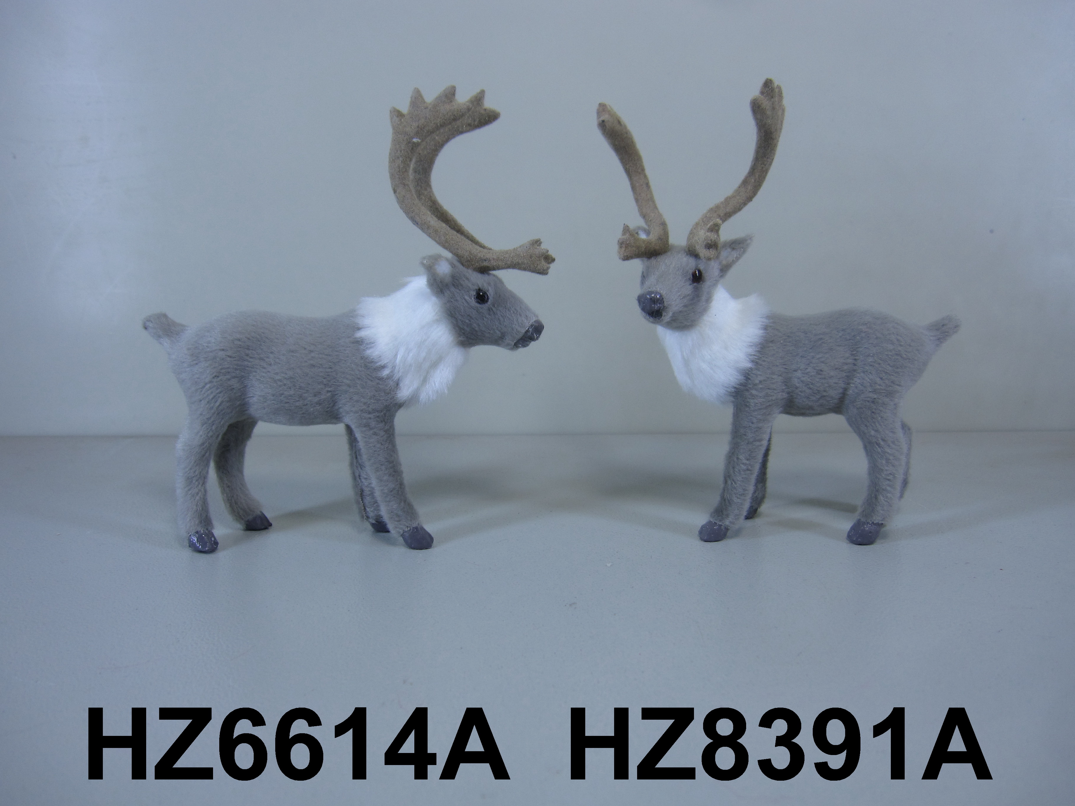 Reindeer