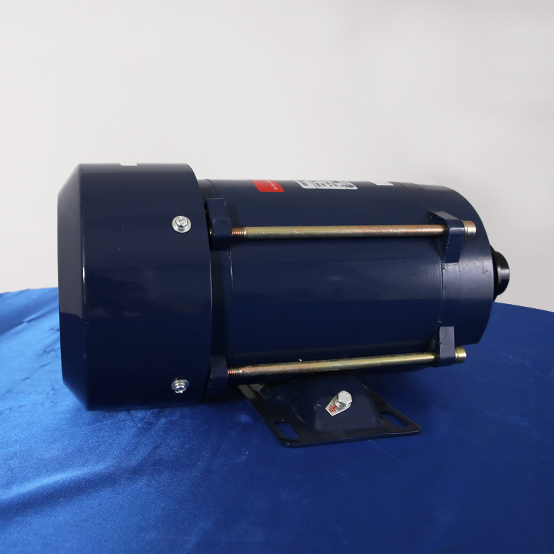 Explosion proof motor