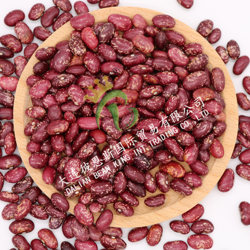 Purple Speckled Kidneybeans-Round Shape