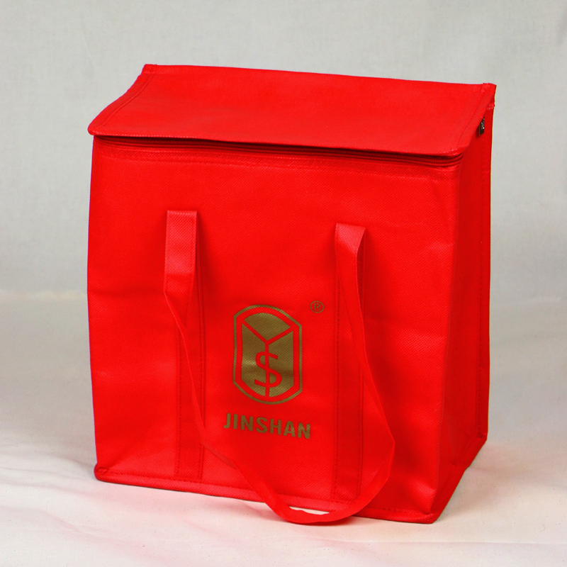 Cooler Bag