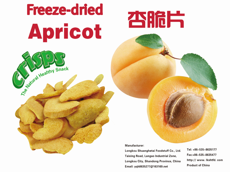 Freeze Dried Apricot