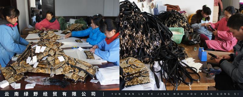 Yunnan Green Field Trading Co., Ltd. – Other handbags 1