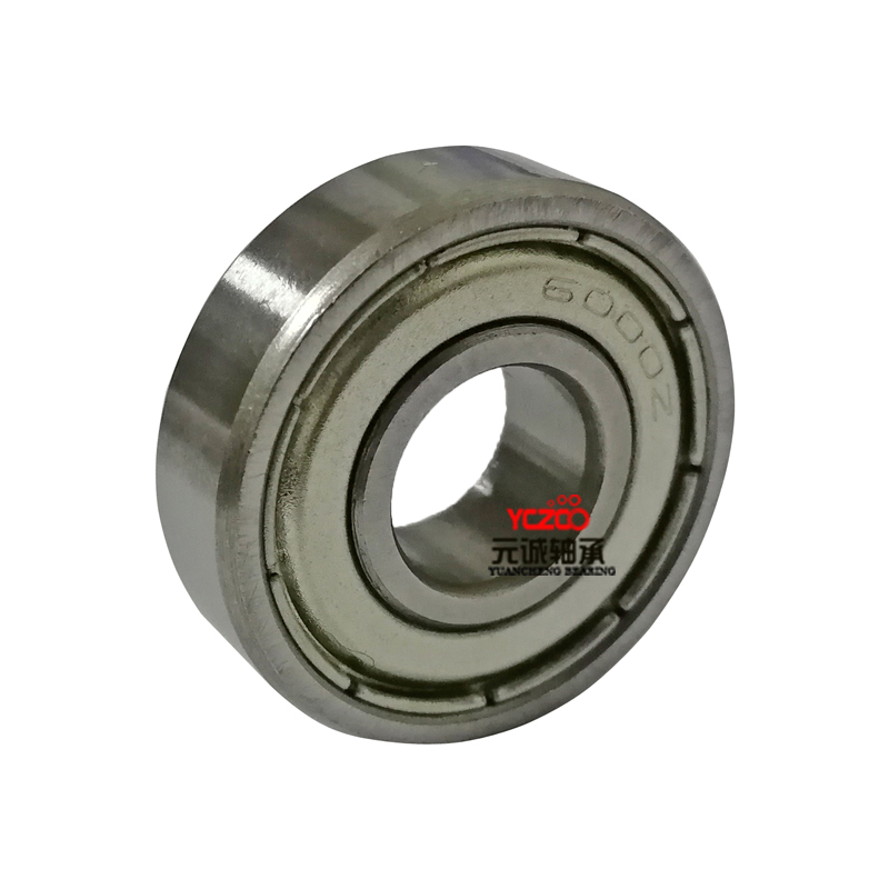 6000 bearing