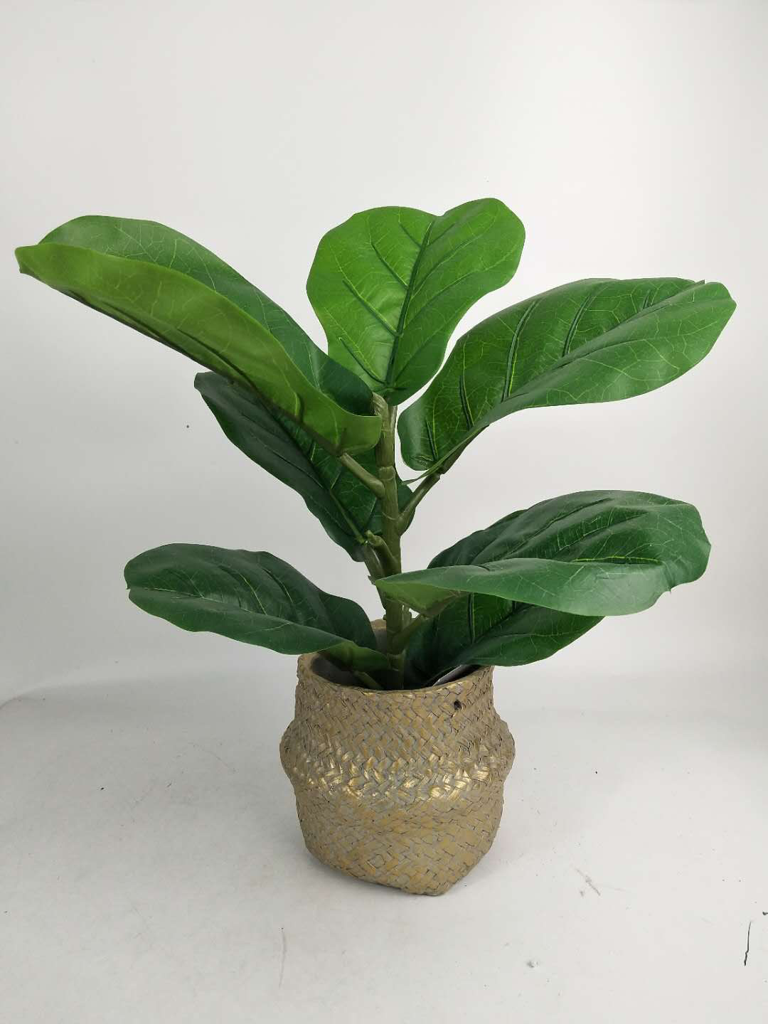 XIAMEN SURPRICE PLASTIC PRODUCTS CO.,LTD – portarretrato 3