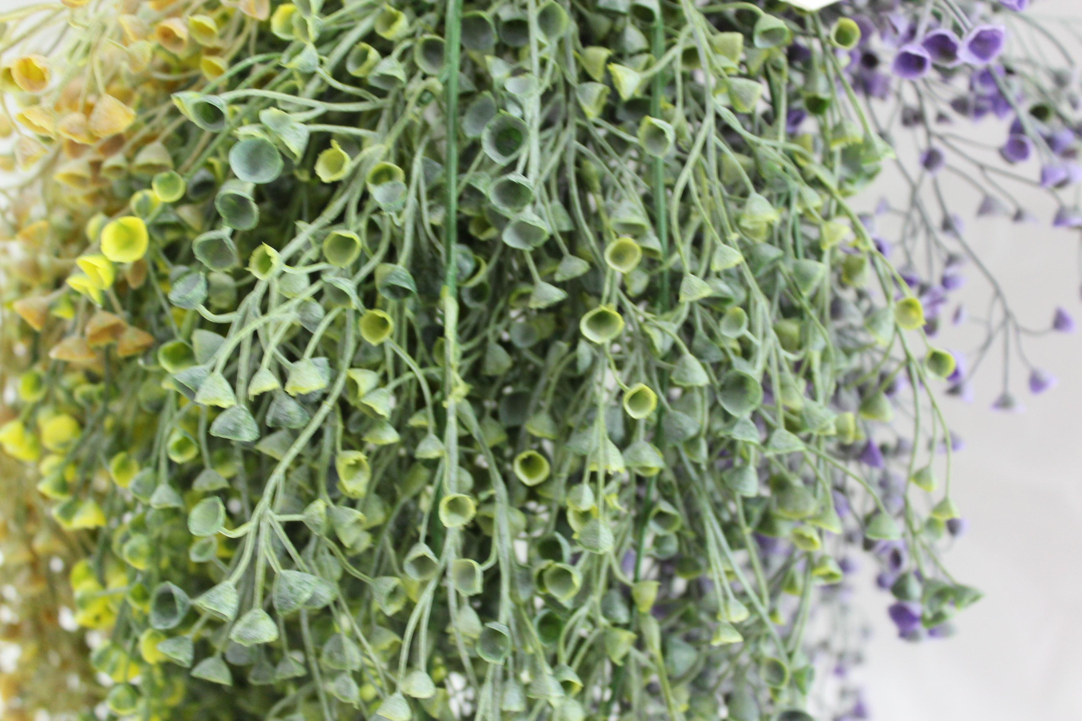 Plastic plant