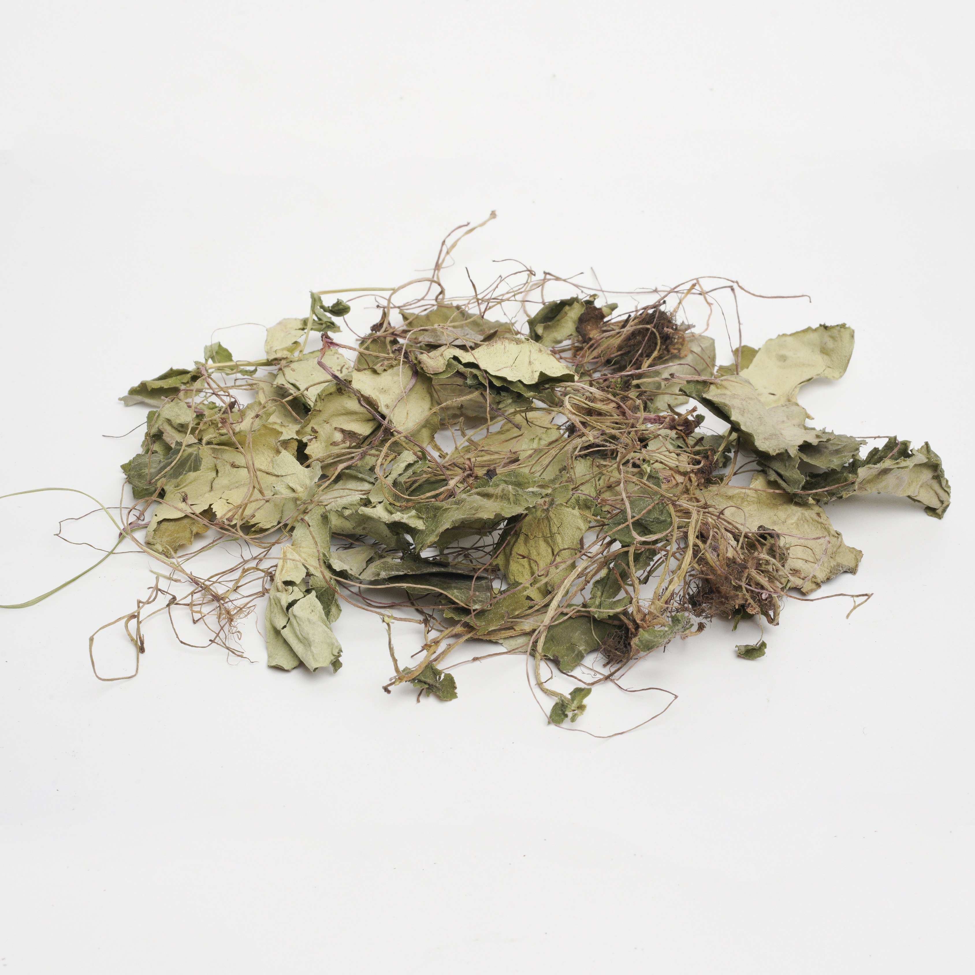 Herba saxifragae