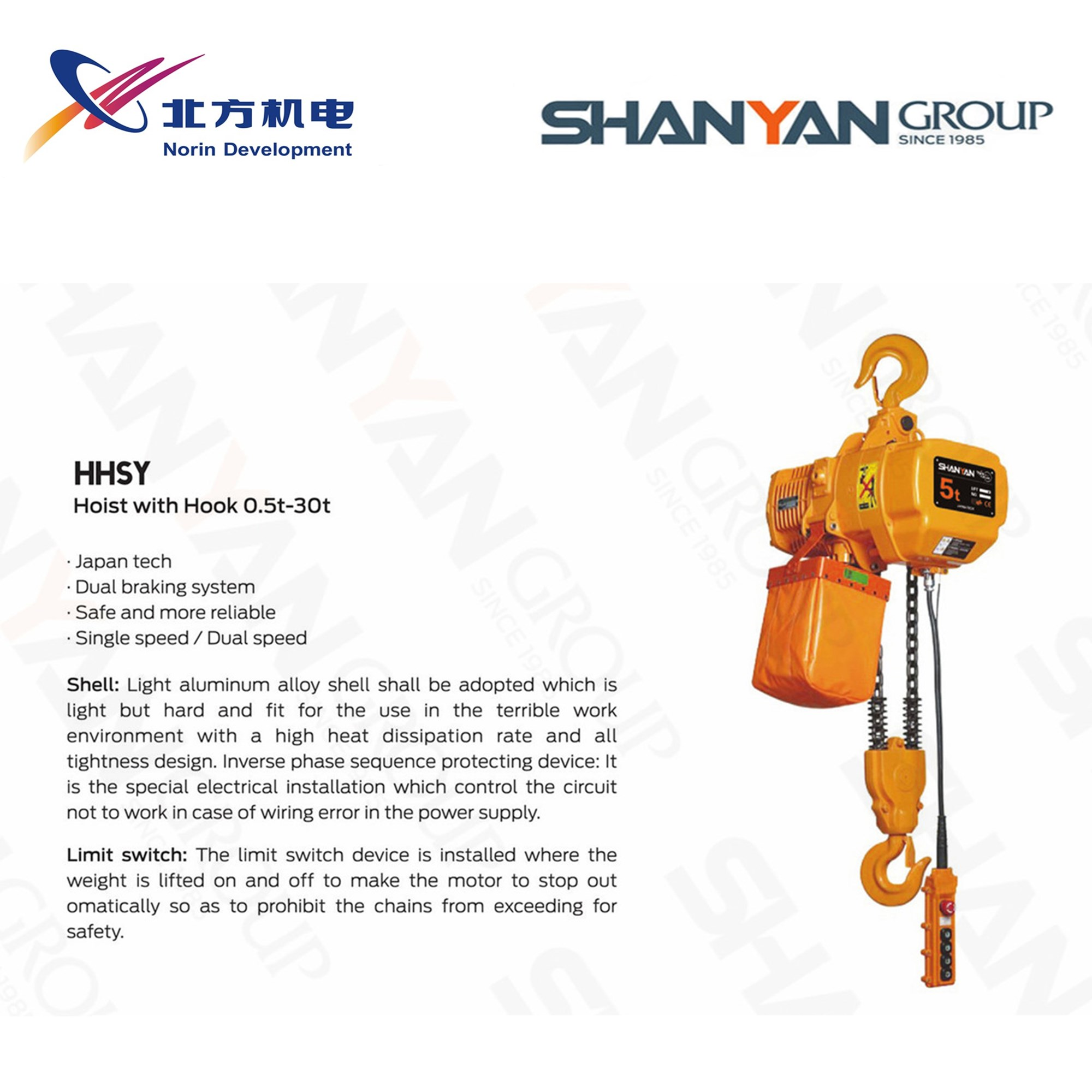 Electric hoist