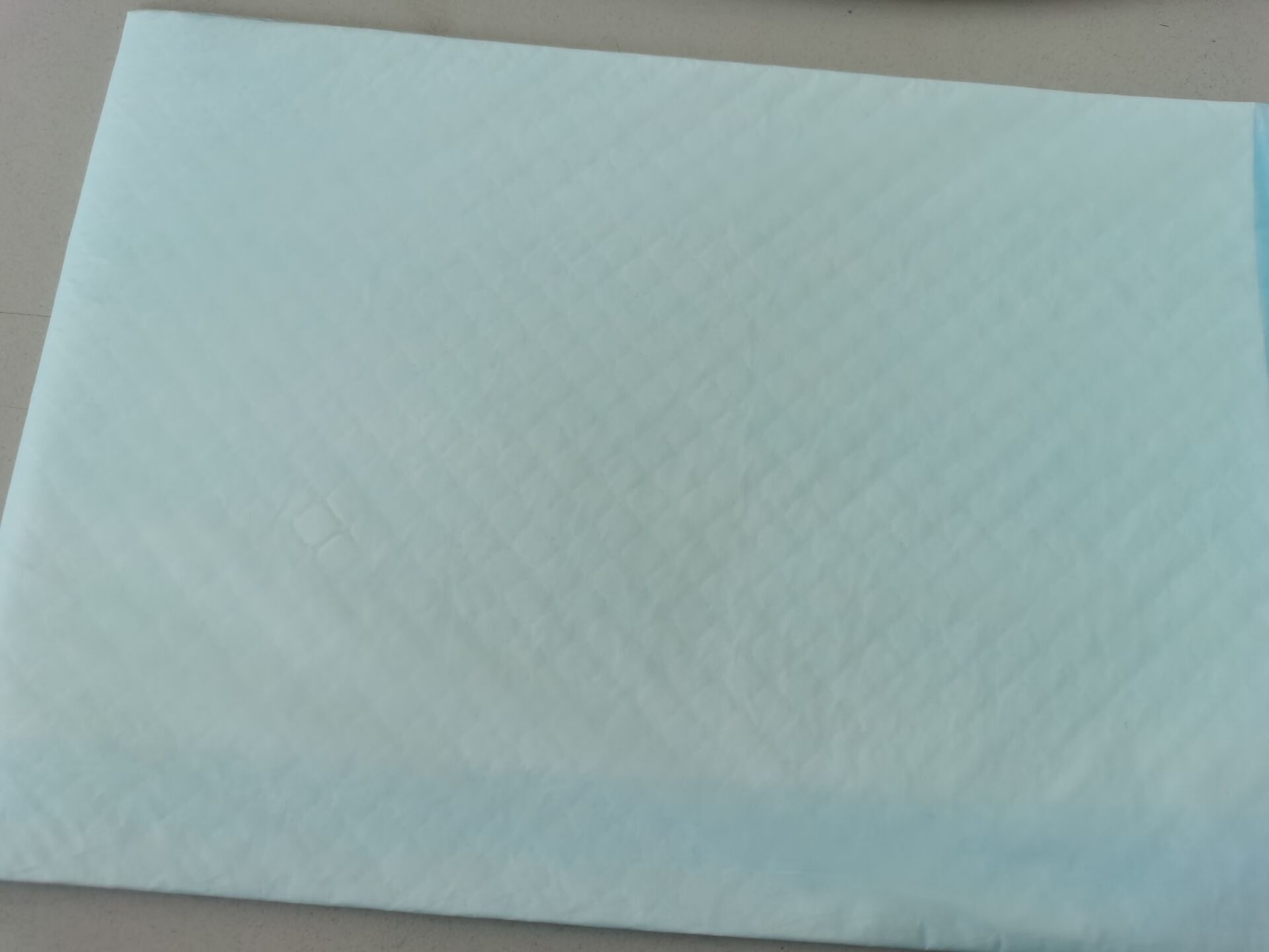 Pet pad with light blue PE film