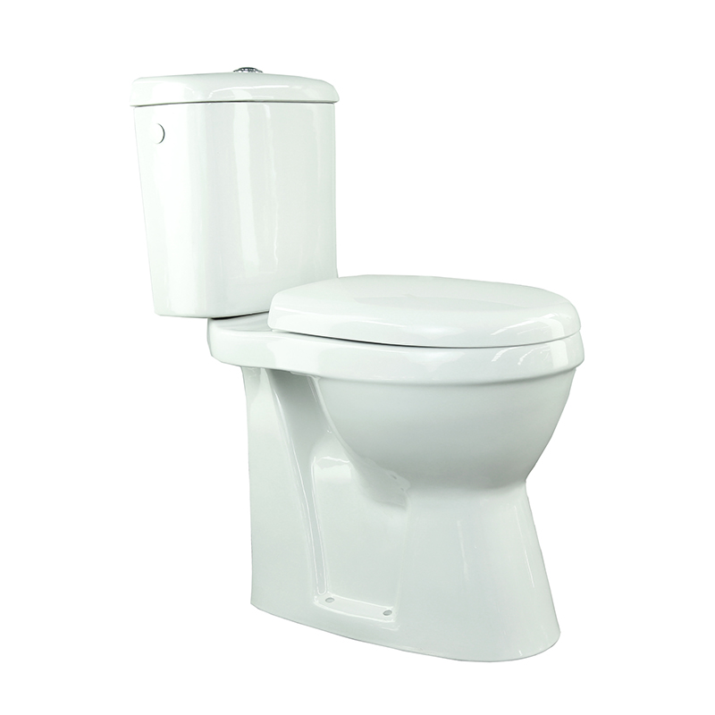 Washdown Two Pcs Toilet Disable
