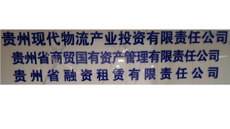 Guizhou Province Commerce and Trade State-owned Assets Management Co., Ltd. – Amplifiers 1