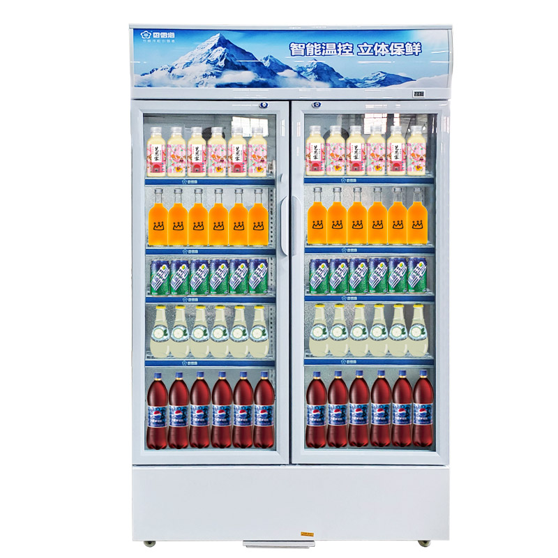 Snowsea Showcase(Chiller)-Lc-733a