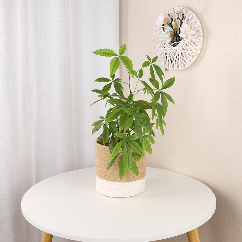 Round cotton basket