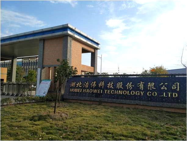 Hubei Haowei Technology Co., Ltd. – black fungus 2