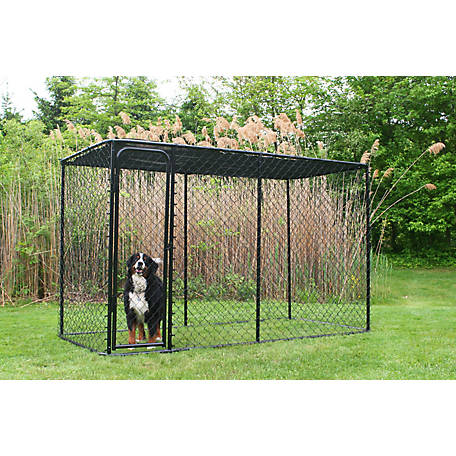 PVC coated chain link dog kennels