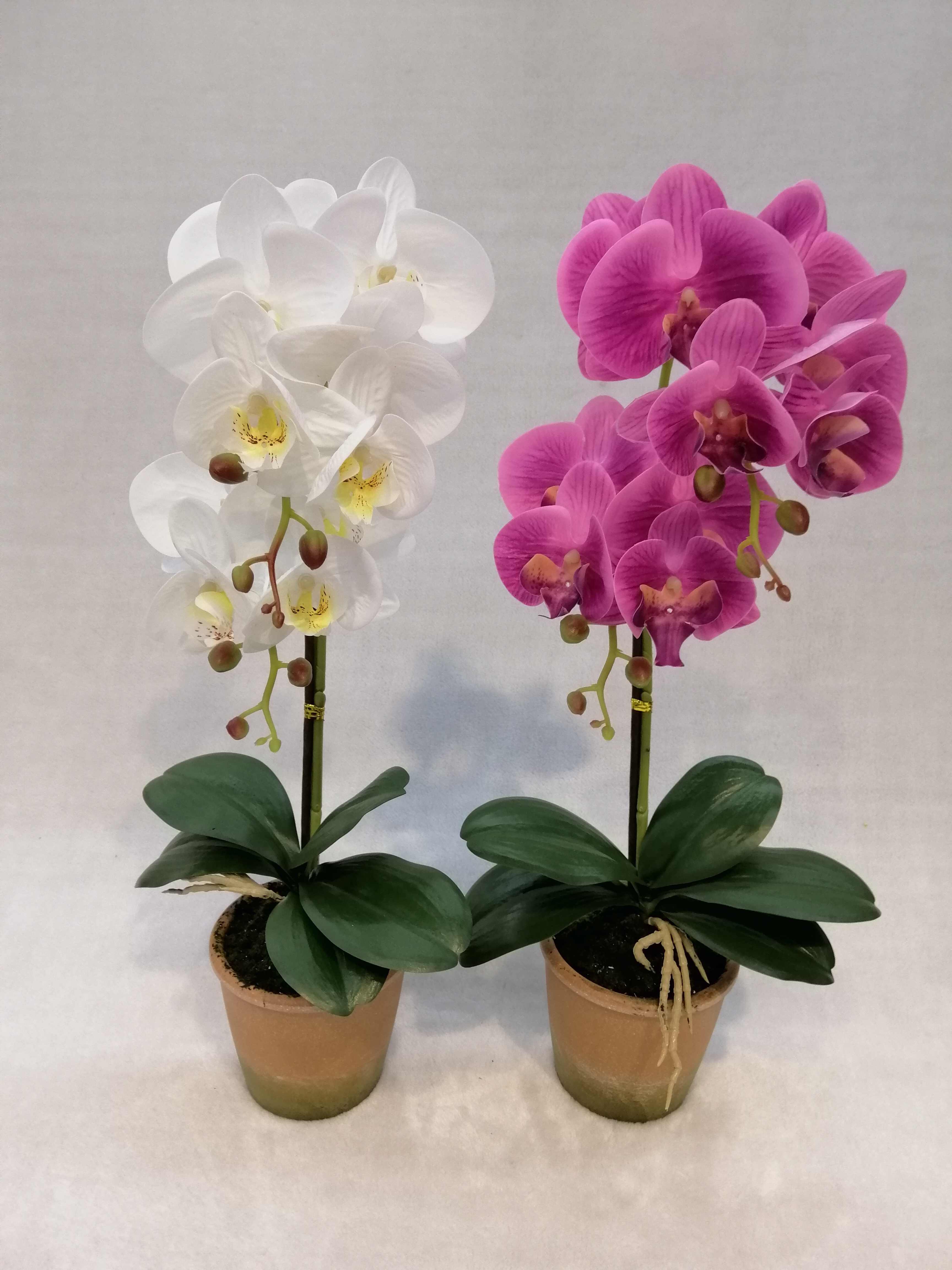 079#（rubber）potted Orchid