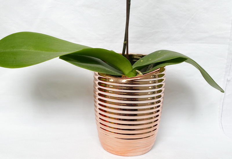Dolomite Flowerpot