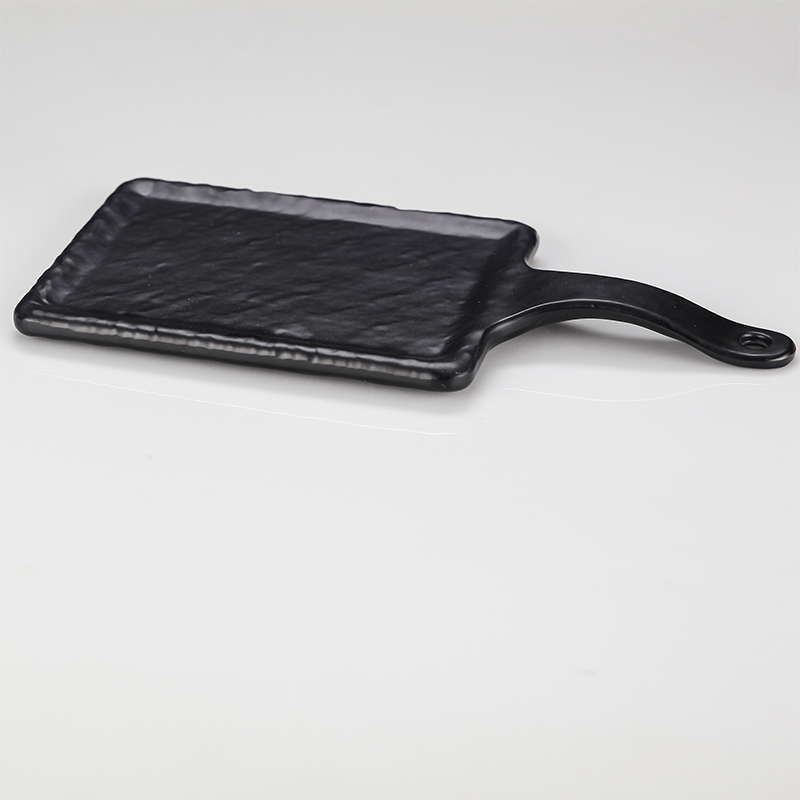 Rectangular Plate with Handle