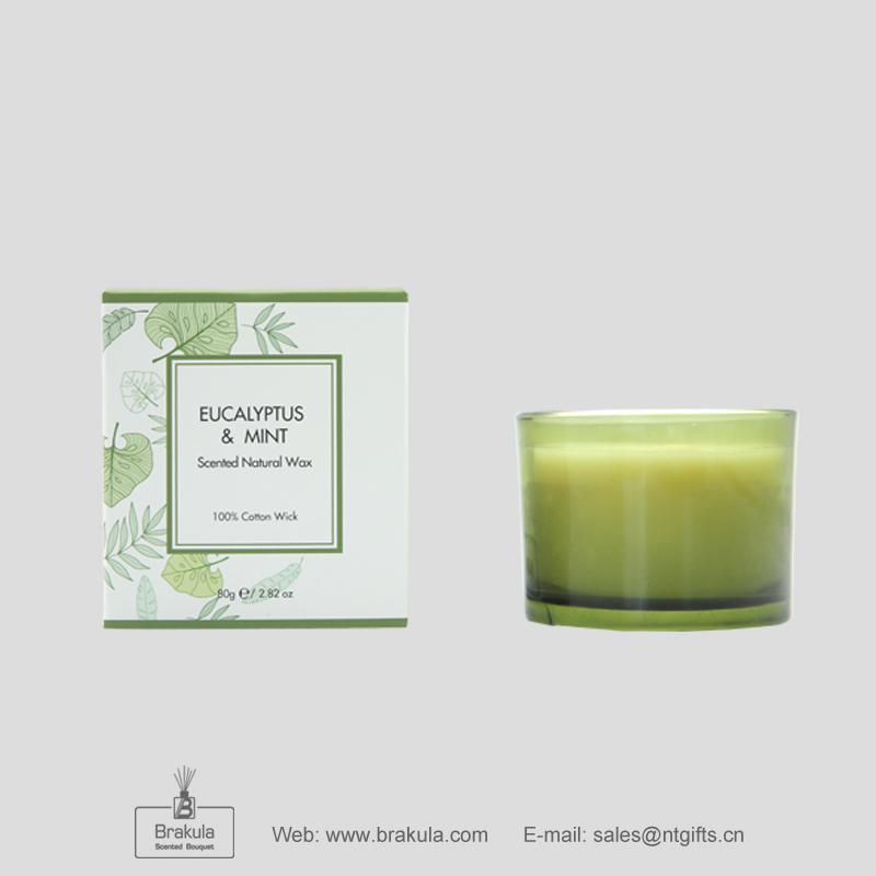 80g candle - Eucalyptus & Mint reed diffuser scented diffuser