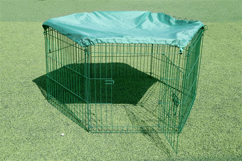 Rabbit Cage