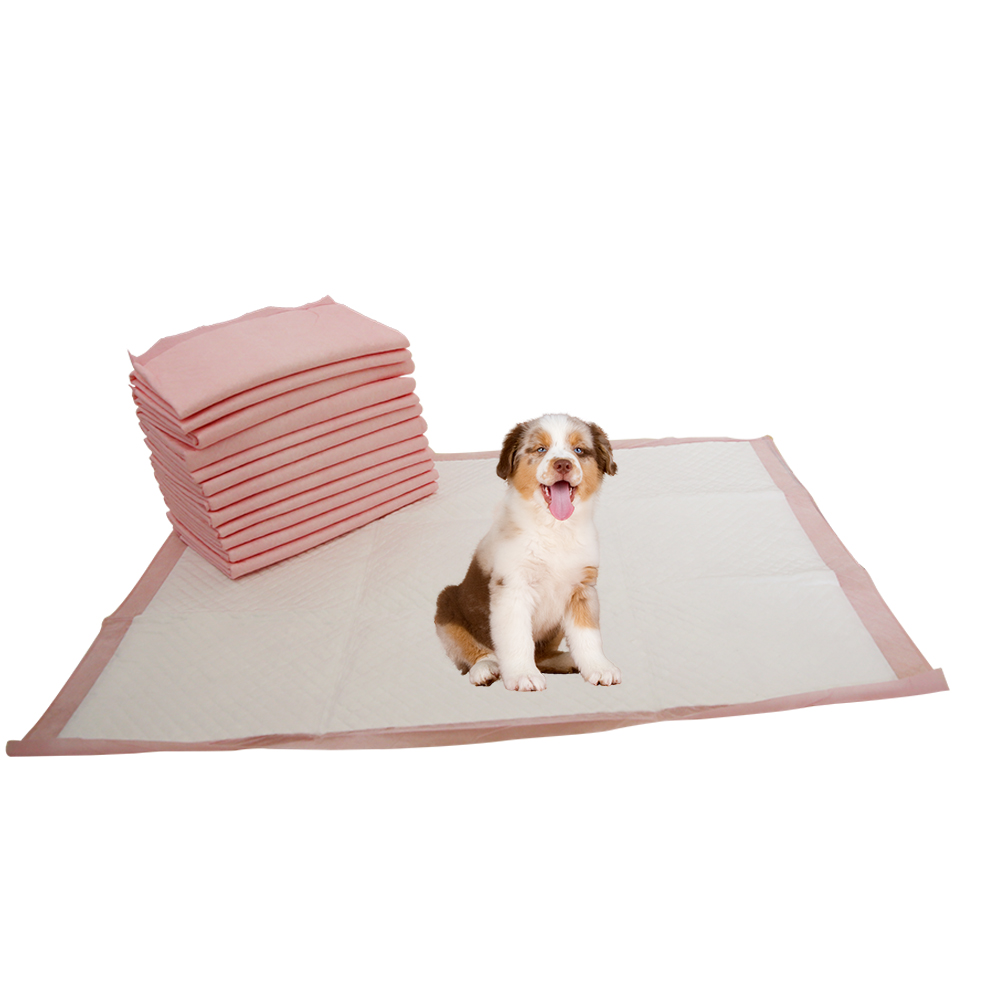Printing Pattern Pet pads Training Pad Zero Leakage Good absorption