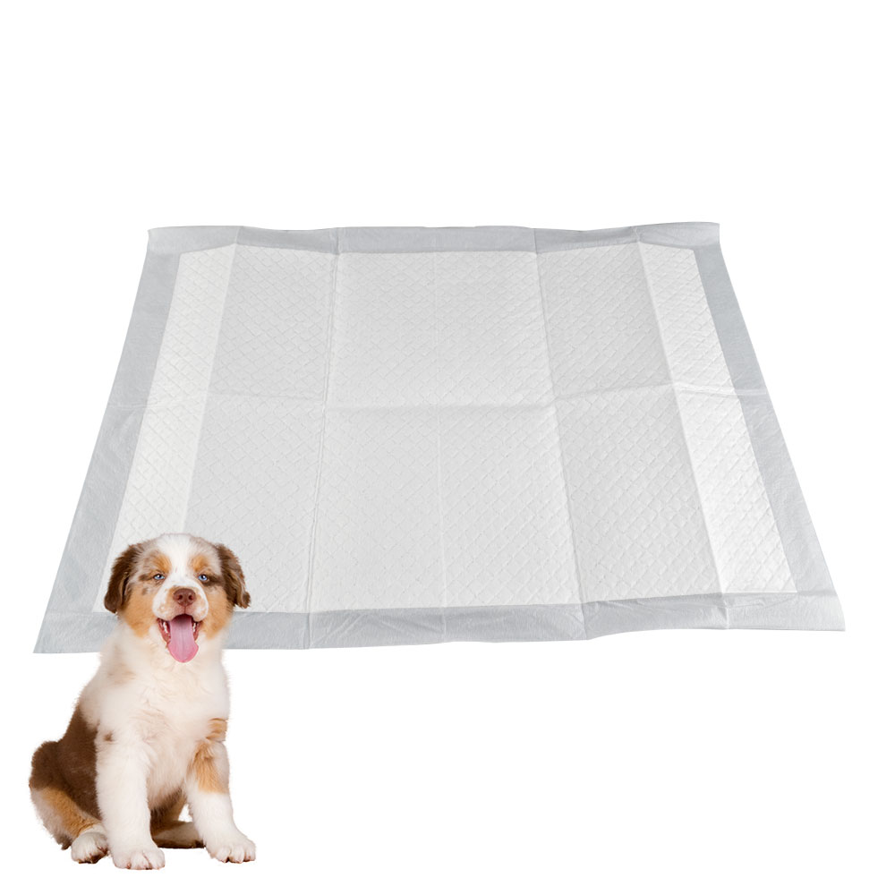 Puppy training pads with attractant