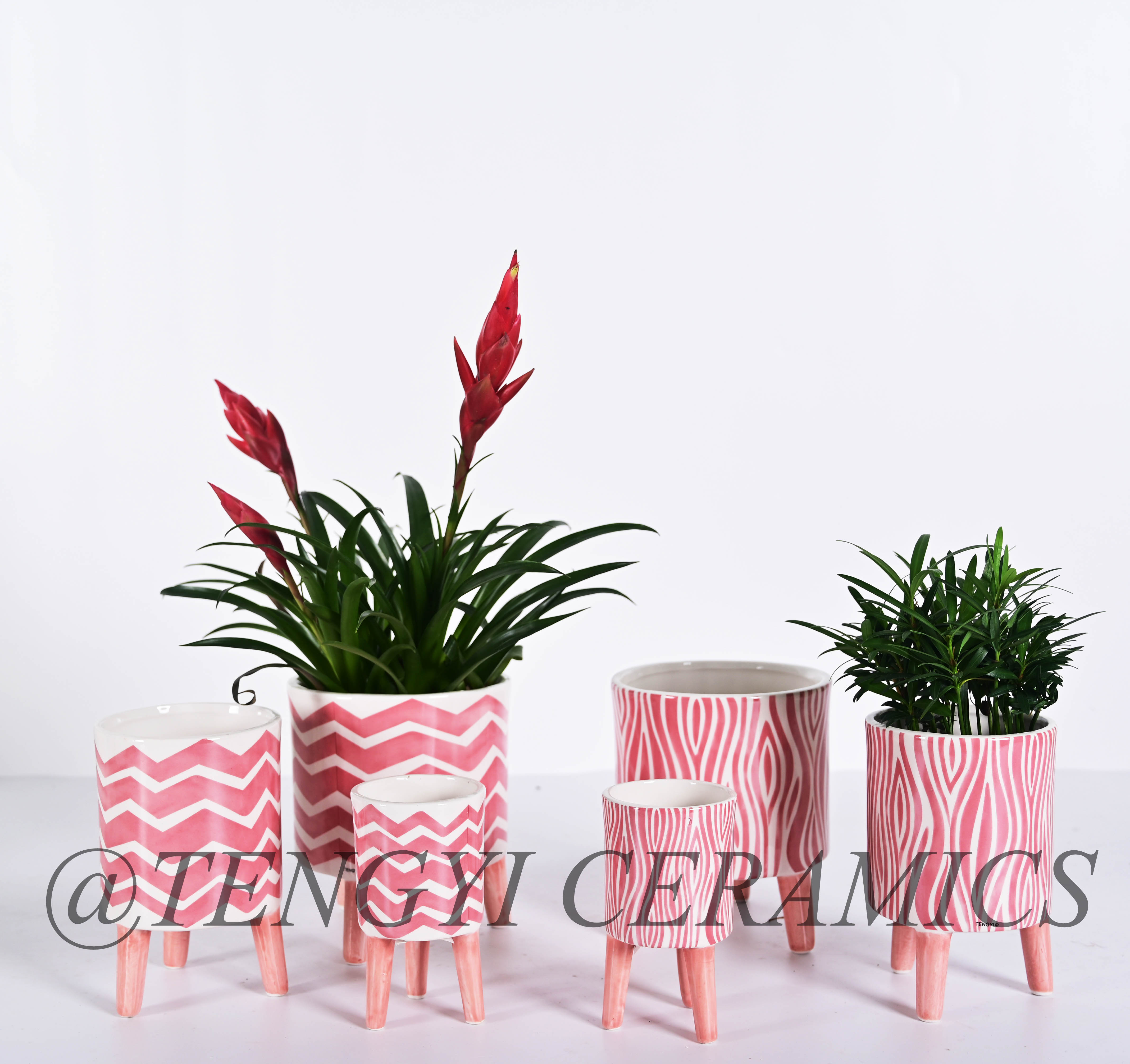 ceramic pot