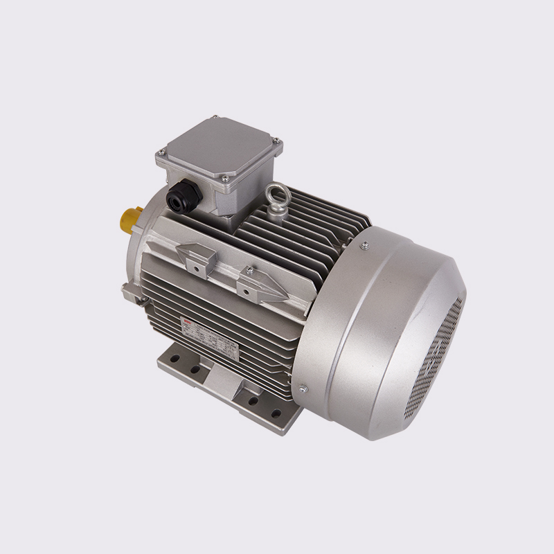 YE2 three phase asynchronous motor B3 4 pole