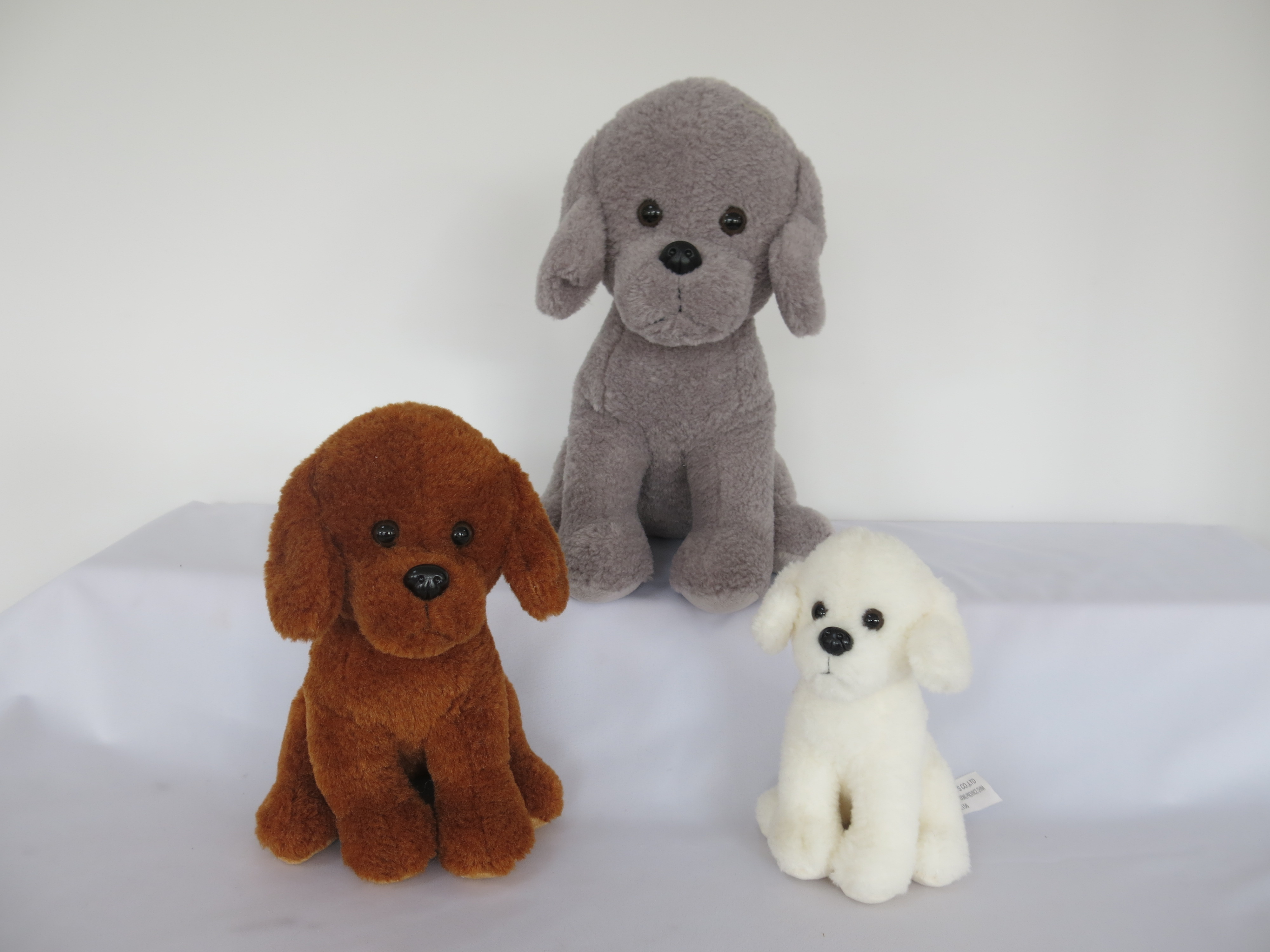 Teddy Dog