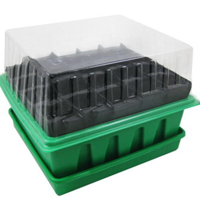20 cell Root-Protected Propagator
