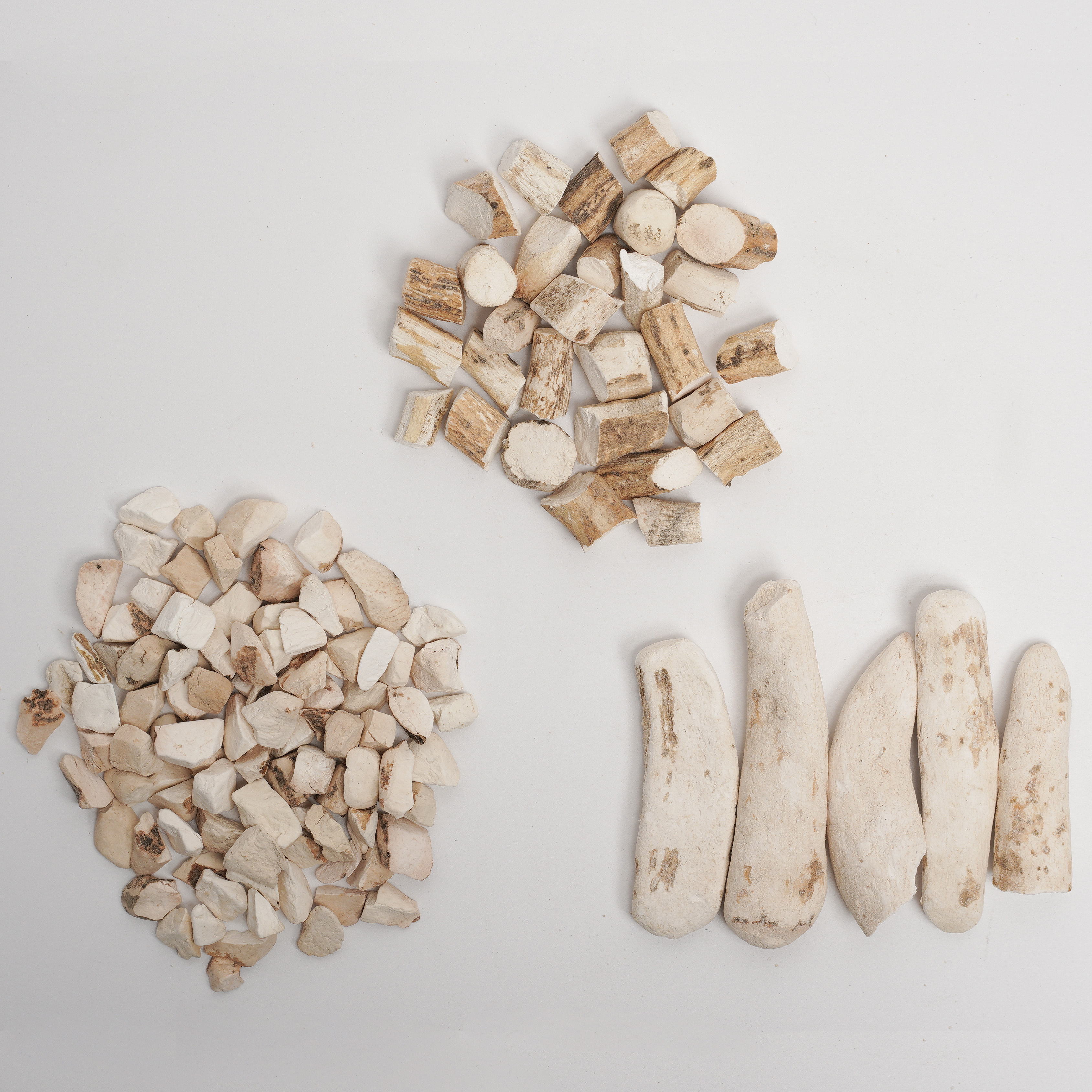 Rhizoma Dioscoreae