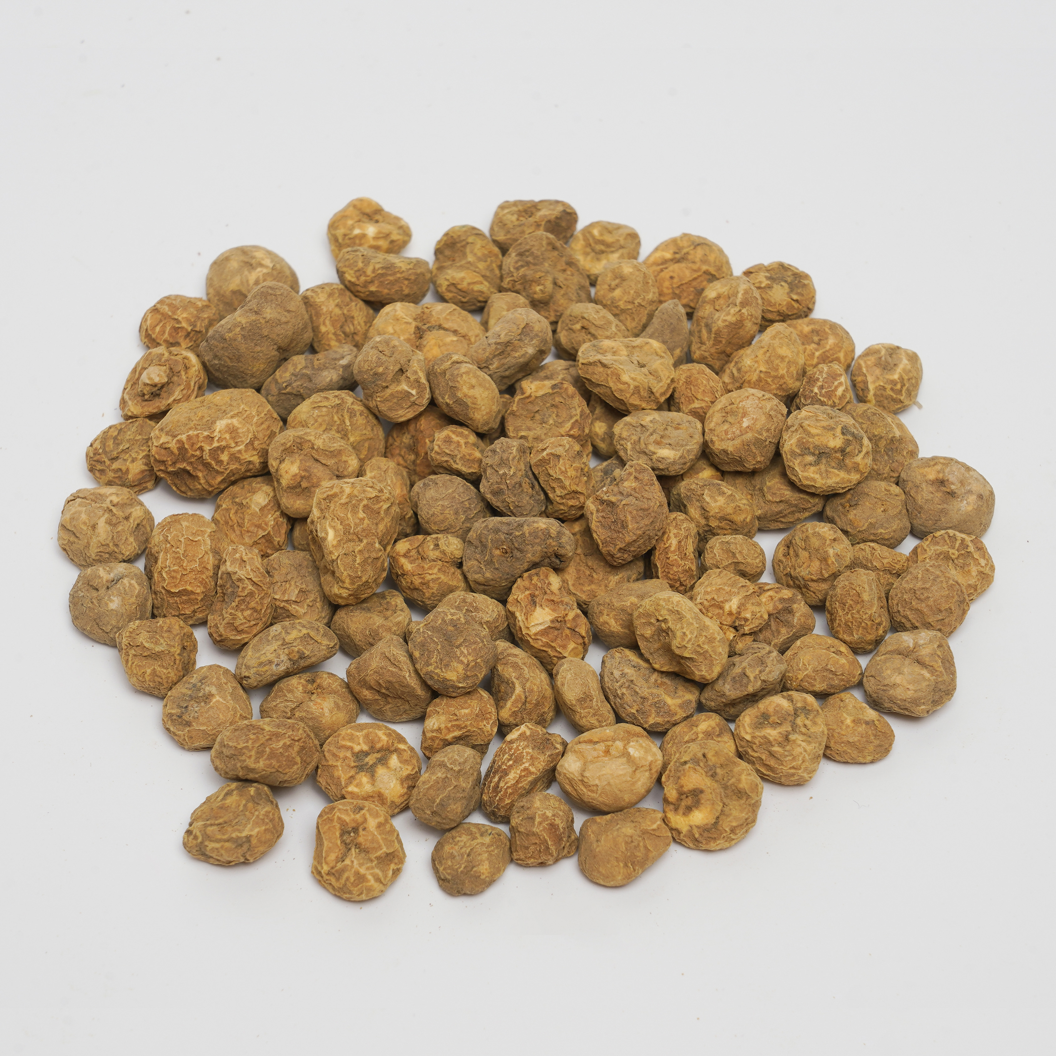 Rhizoma Corydalis