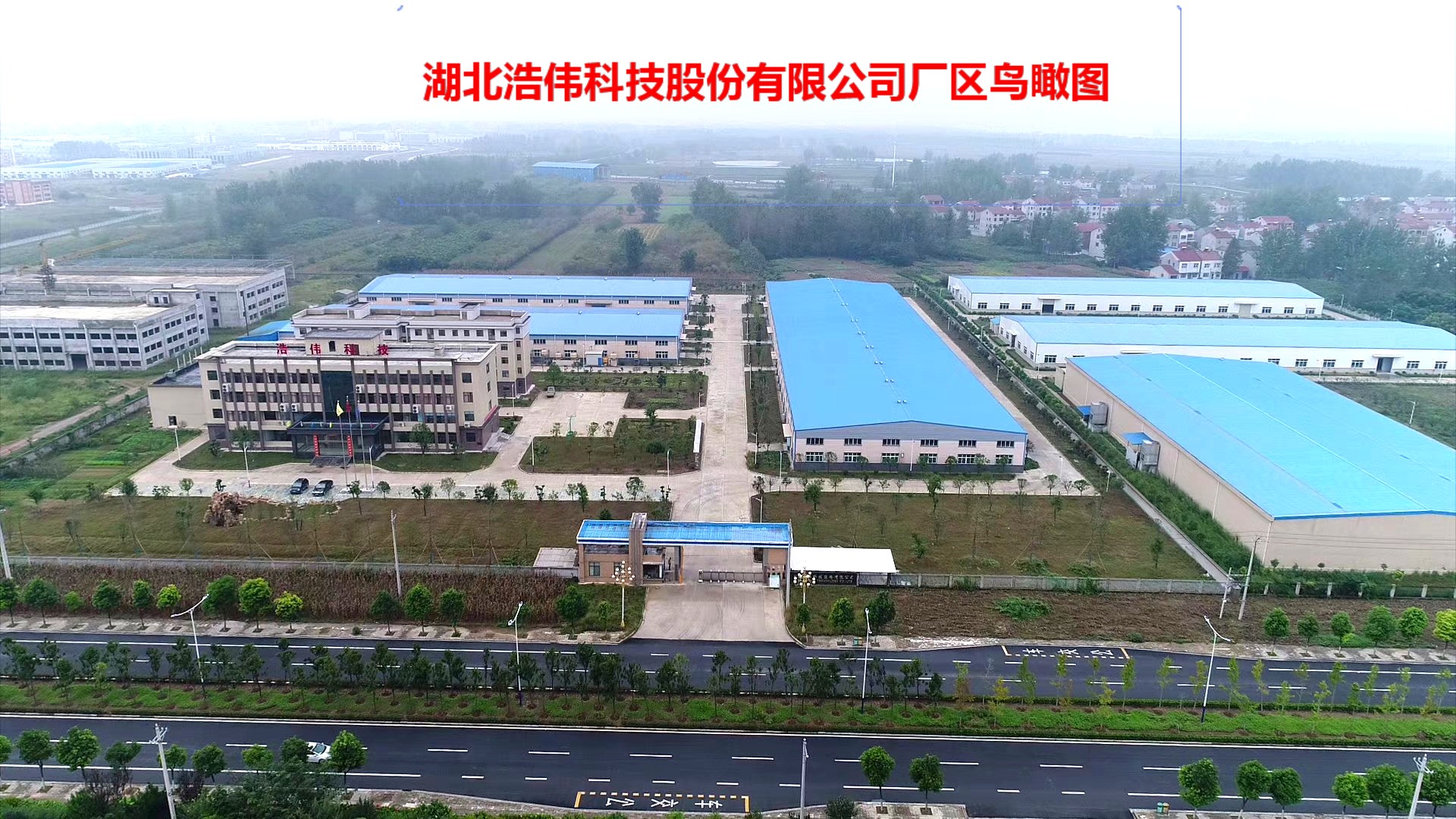Hubei Haowei Technology Co., Ltd. – Mushrooms 1