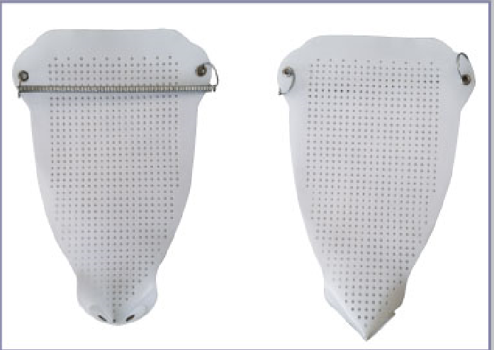 Iron Shoes