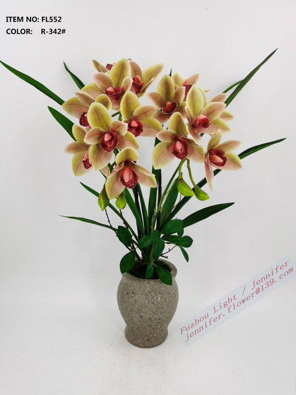 orchid in cement pot