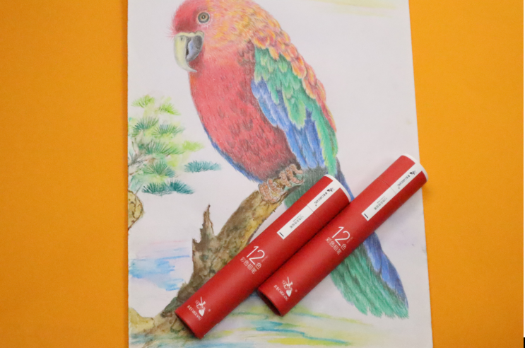 12 Color Pencils Plus Smooth in Paper tube