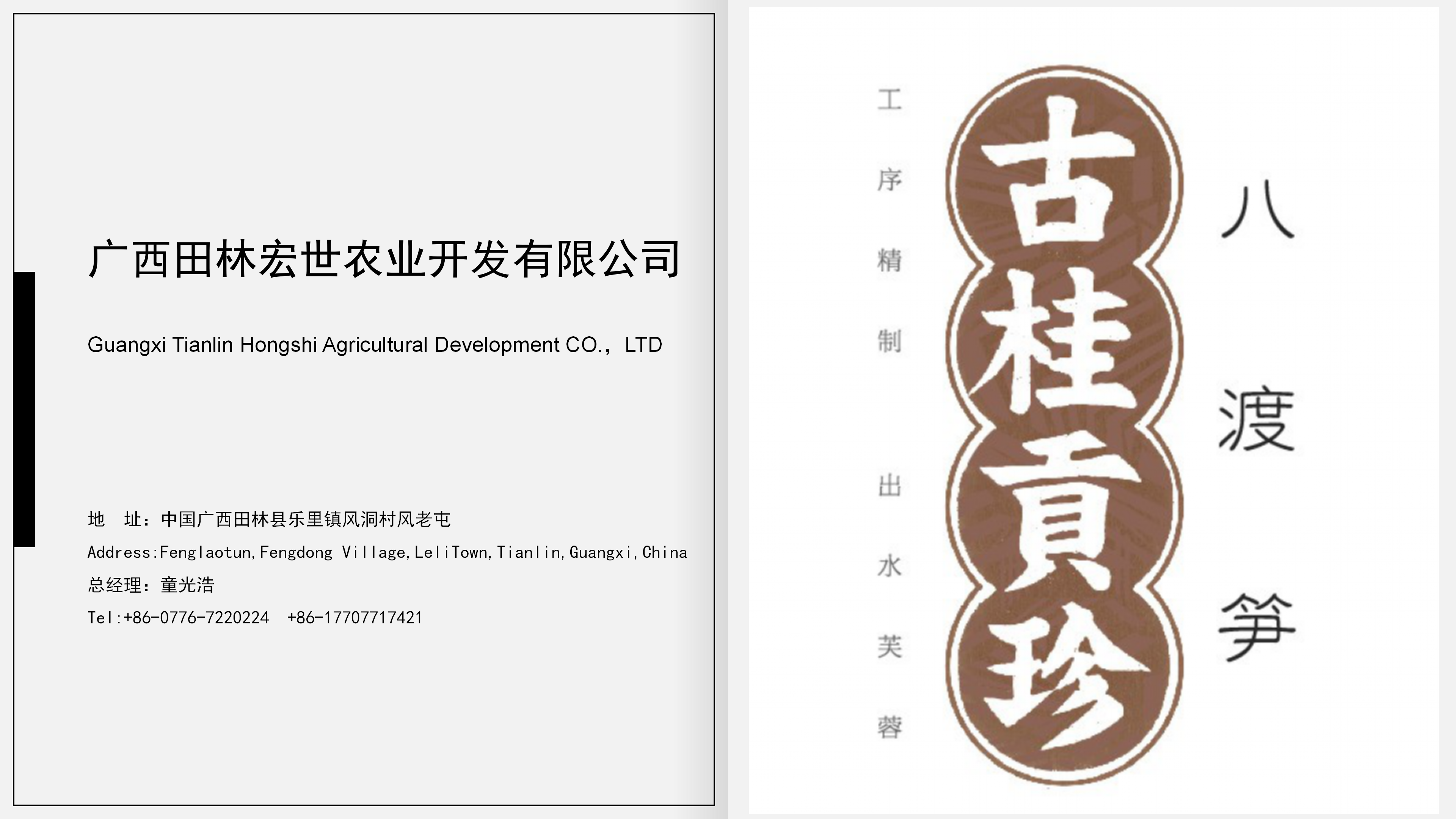 Guangxi Tianlin Hongshi Agricultural Development Co., Ltd. – Other vegetable products 1