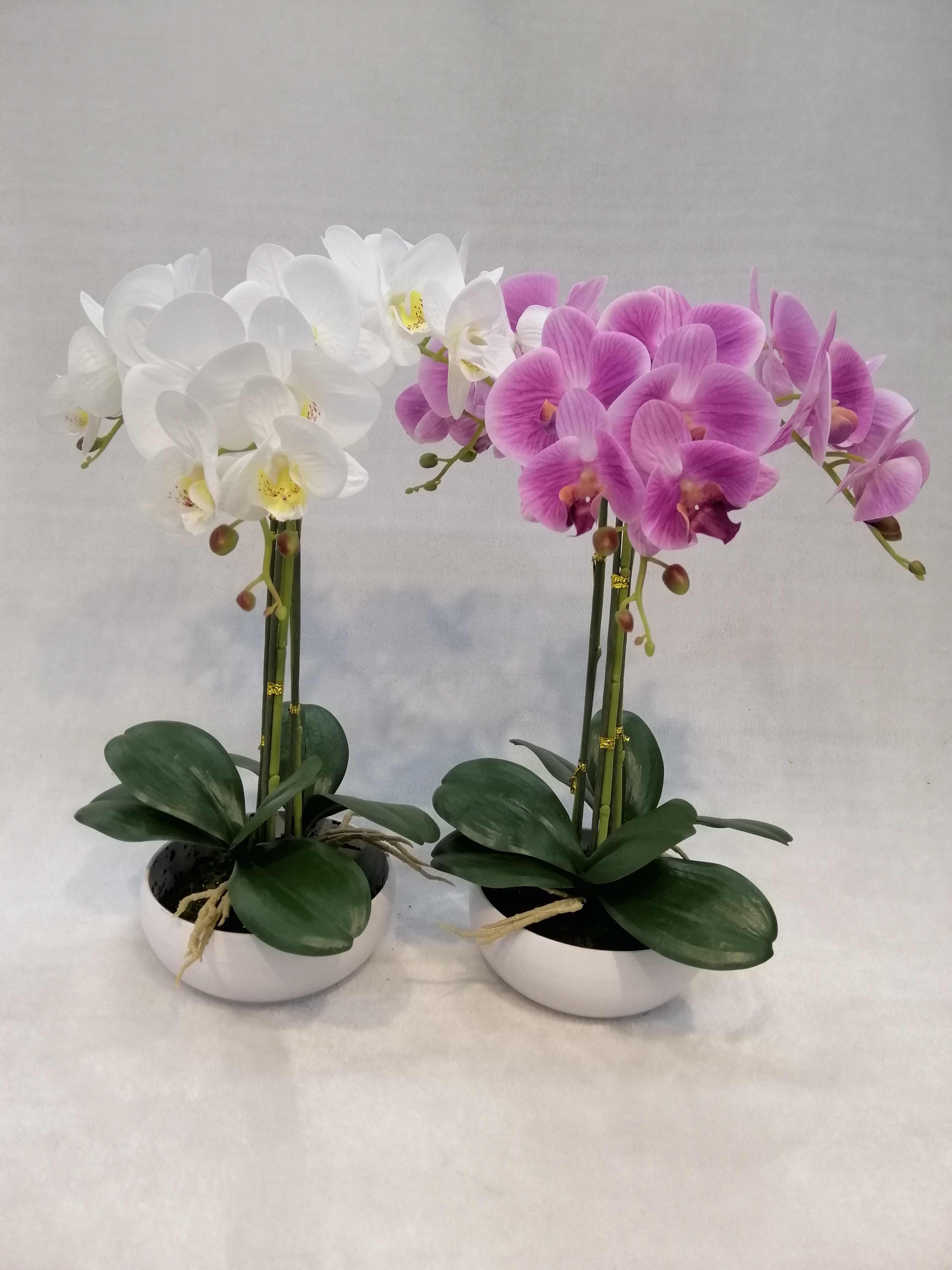090#（rubber）potted Orchid