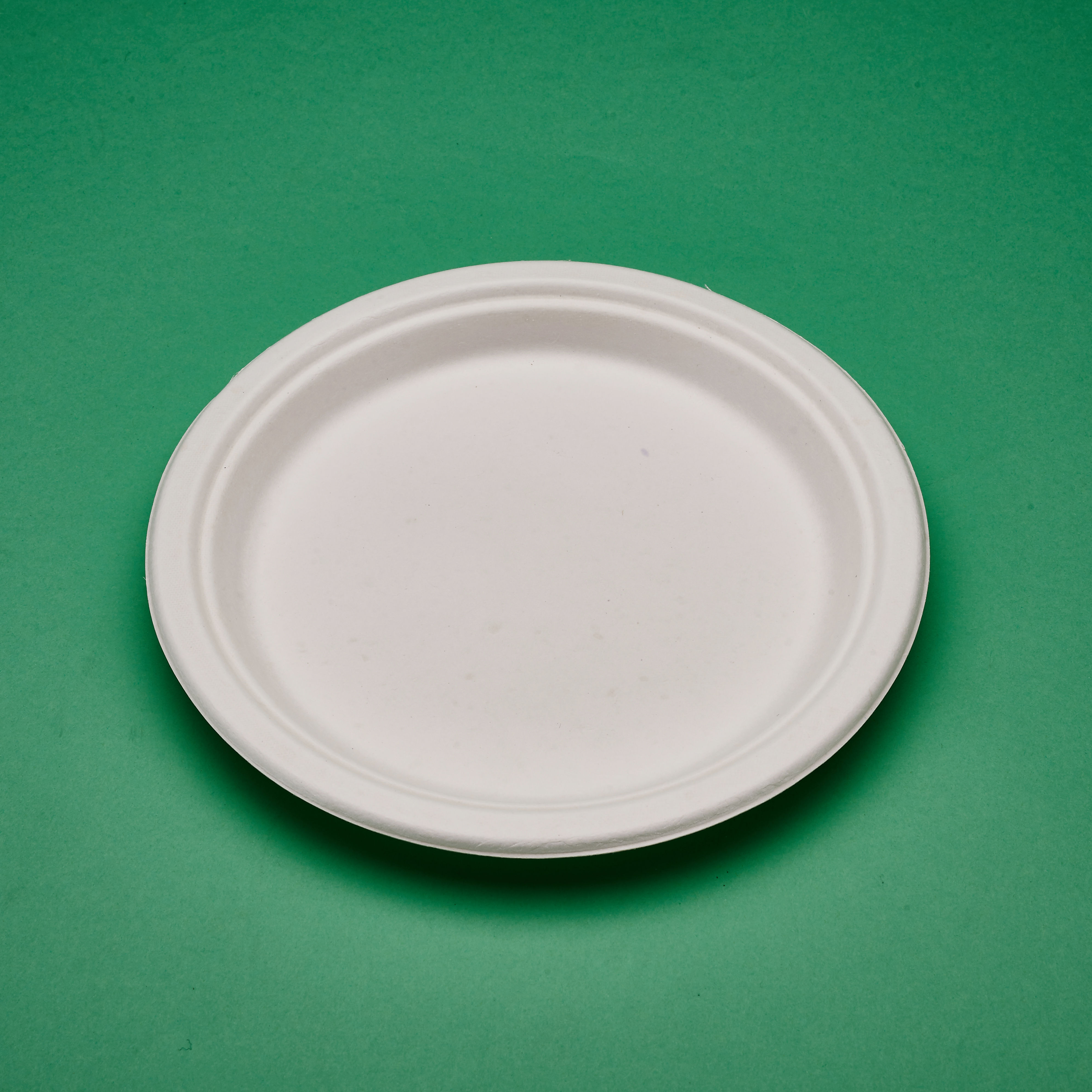 Disposable sugarcane 9 inches dinner plates