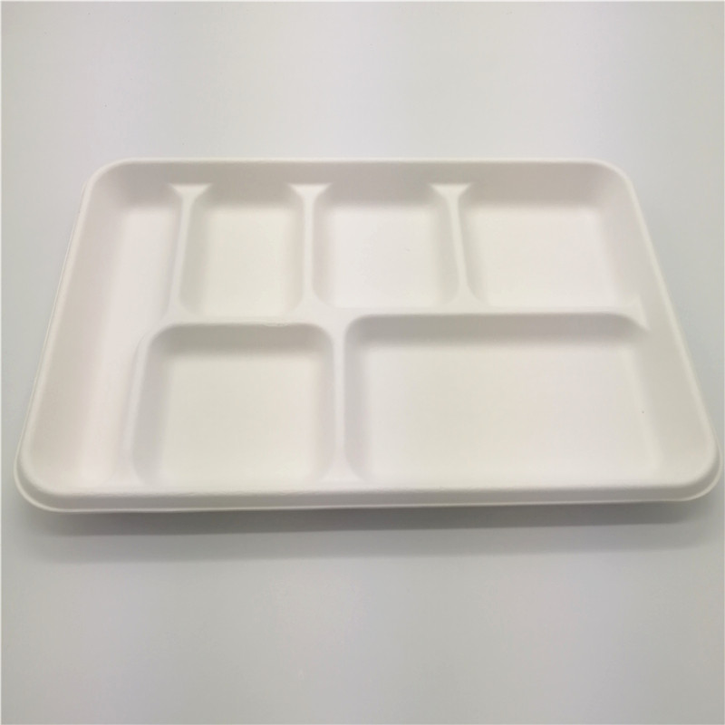100% Biodegradable and Compostable Sugarcane 6 Compartment Tray