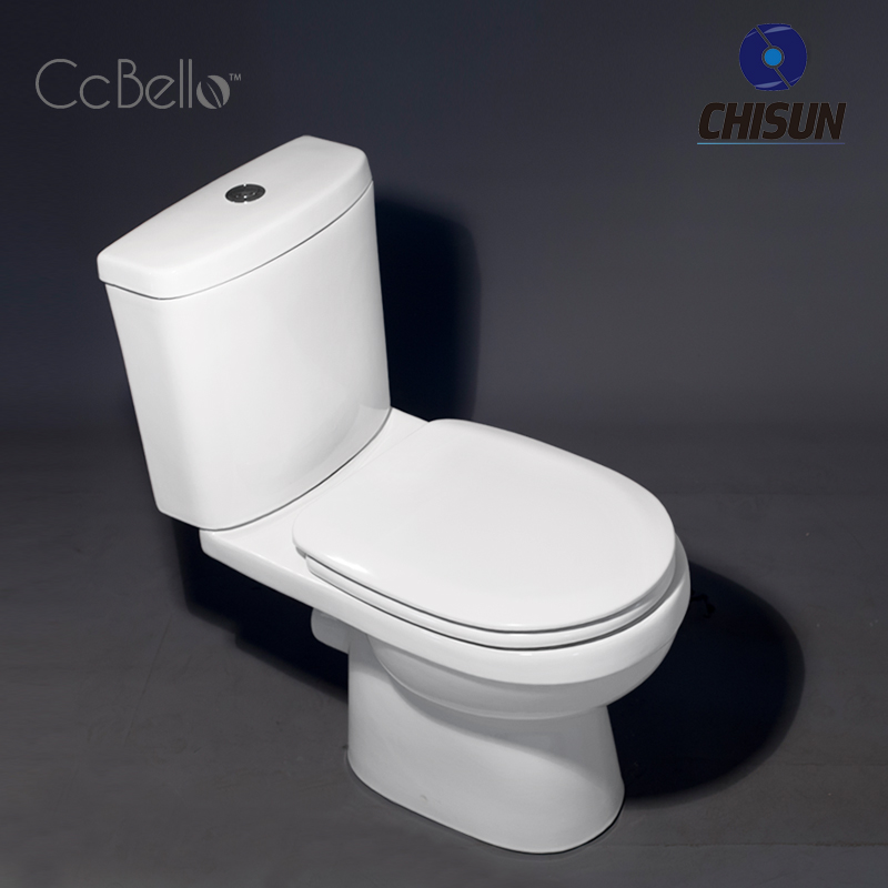 Washdown Two piece toilet