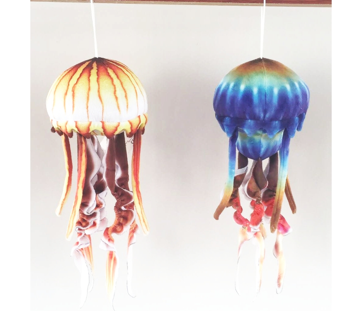 Jellyfish