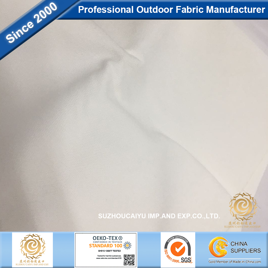 Cotton Canvas