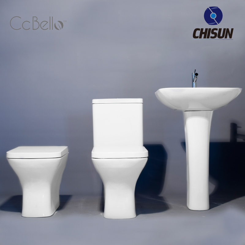 Back To Wall Toilet Bowl